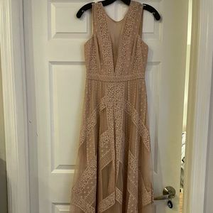 BCBG Andi Lace Trim Evening Dress in Blush Pink